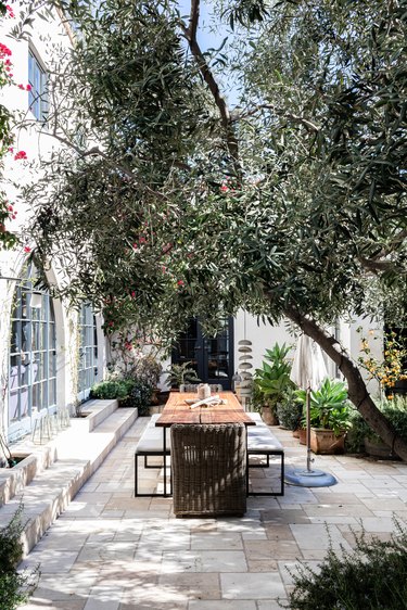 A mediterranean styled patio with trees and plants