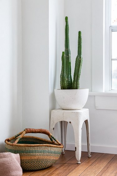 Snake plant on a white stool with baskets on a wood floor