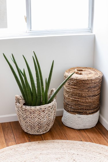 An aloe plant in a basket on a wood floor with a fiber rug