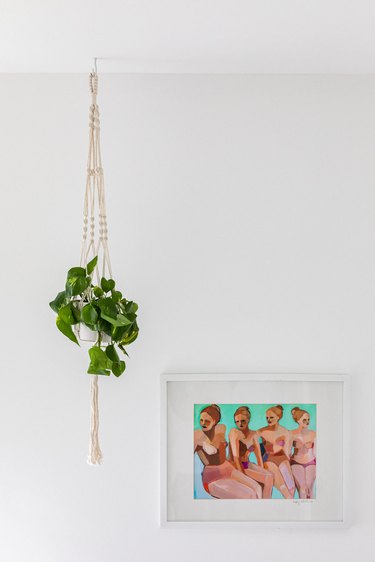 Hanging plant against white wall with framed painting