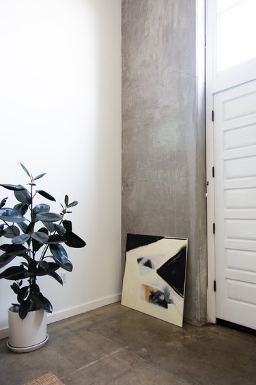 home entry way with rubber plant in white pot