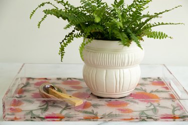 Acrylic tray with an orange and pink floral pattern base and a fern in a white planter