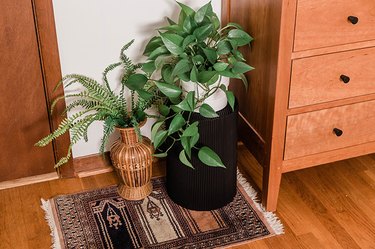 Pothos on a black plant stand next to a wood dresser, woven vase with a plant, and a traditional rug
