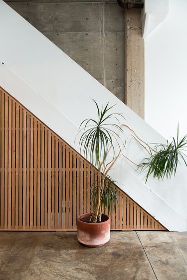 Wood and white staircase with palm plants