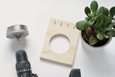 a hole saw and a potted plant next to a square of plywood that has had a large circle cut out of it