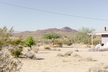a view of desert scrub and hills in the distance