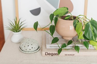 Clay diffuser with plants and books; pothos plant