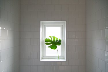 Shower subway tile wall with window and monstera leaf