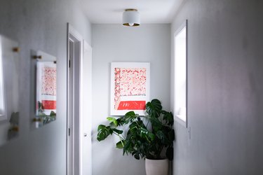 hallway with light grey walls, indoor potted plant, and orange and pink art