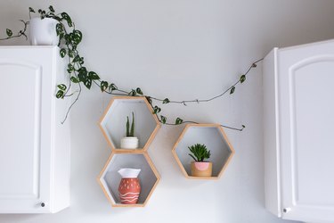 plants in hexagon-shaped shelves between bathroom cabinets