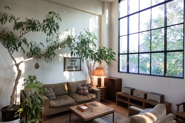 brown upholstered furniture, potted plants, and vintage audio equipment reminiscent of the 1970s