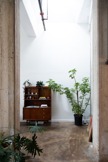 Loft with mid-century credenza and plant