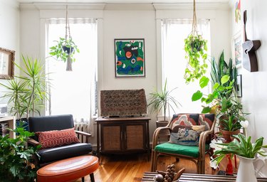 Boho living room with lots of hanging and floor plants