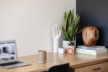 desk tabletop with snake plant and books