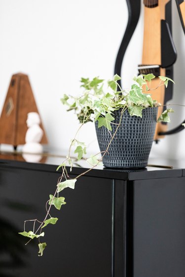 potted ivy plant sitting on upright piano