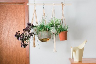 Hanging herb plants next to wood door and watering can