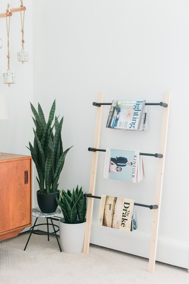 Wood ladder shelf with potted plants in white-walled room