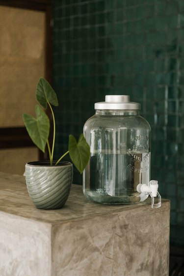 concrete countertop with water dispensier and plant