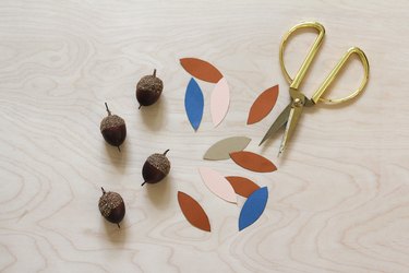 Cut paper of varying colors with acorns and gold scissors
