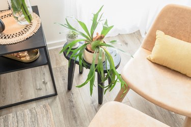 Plant on a stool with beige chair and black side table