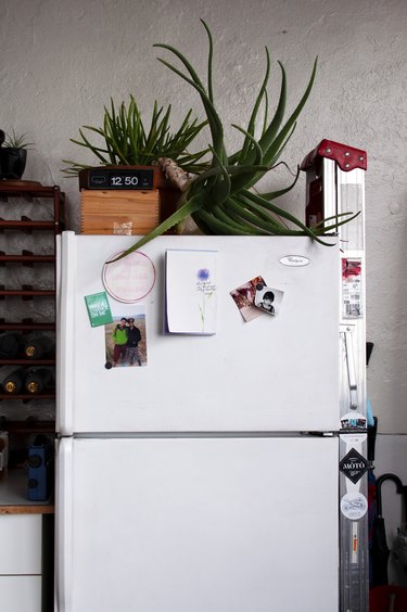 A refrigerator with plants