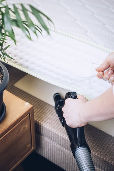 Hand lifting mattress and vacuuming between mattress and box frame next to side table with medium-sized potted plant