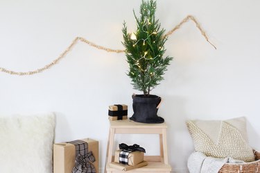 a small potted christmas tree decorated with a few lights sits on a stool