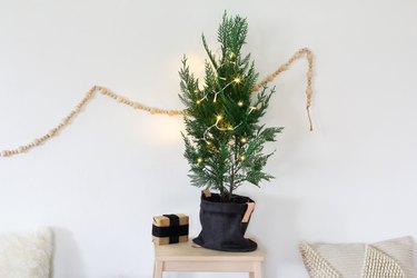 a small potted christmas tree decorated with a few lights sits on a stool