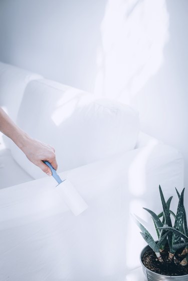 a woman uses a lint roller to get pet fur off the arm of a couch