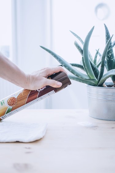 a woman sprays furniture polish on a table with an aloe plant on it