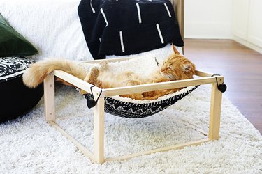 Orange cat in kitty hammock with pillow and wood frame on white rug