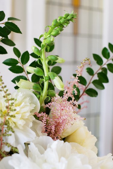 White and pink flowers