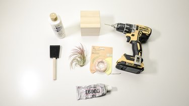 an air plant surrounded by wire, glue, a drill, a wooden block, paint, and a foam brush