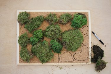 laying out clumps of moss on a cork bulletin board and tracing around them to show where to cut the cork