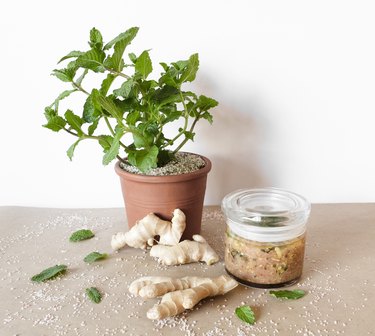 a potted mint plant, ginger roots, and a jar of body scrub