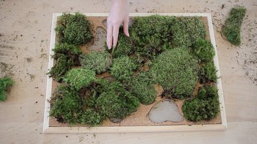 placing clumps of moss in spaces cut out of cork tile inside a bulletin board frame