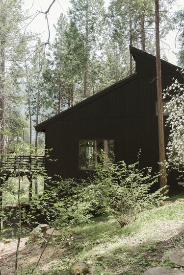 A black house with a steep roof, and a large picture window. Forest trees and plants surround.