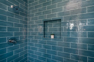 A shower with blue subway tile and a shower niche with a small plant