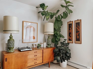 Fiddle leaf fig plant with a wood sideboard, with retro, green and neutral accents.
