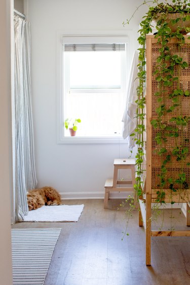 small boho bathroom with trailing plant on top of a cabinet