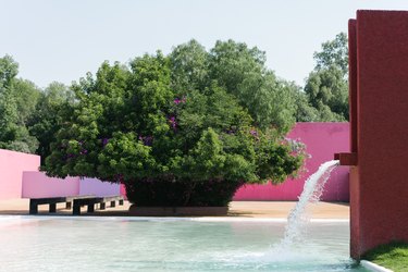close-up on a waterfall that flows into a reflecting pool; a bright pink wall can be seen across a dirt courtyard beyond