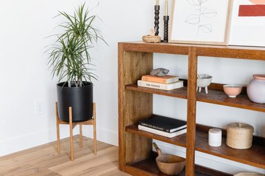 Wooden bookshelf with books and other decorative trinkets next to a plant in a black pot.