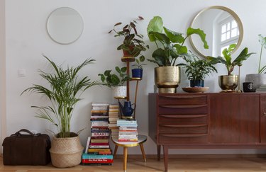 stacks of books next to midcentury credenza with lots of boho plants