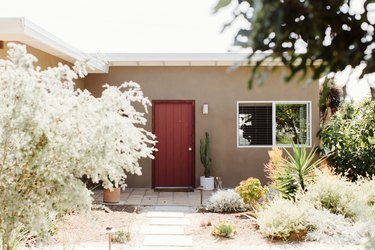 Front yard of a beige house with a brown door, with plants and bushes