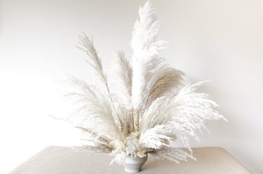 an arrangement of tall, wispy pampas grass in a white vase