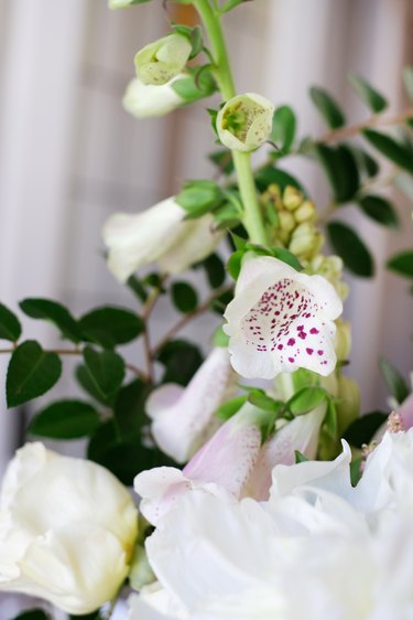 White flowers with green leaves