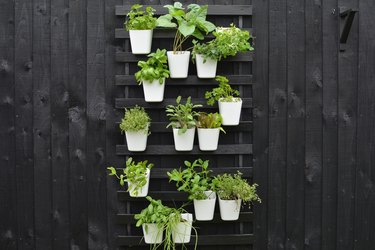 Black vertical garden against black fence with green plants in white containers