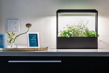 Mindful kitchen with smart growhouse. 