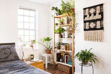 Boho bedroom with bookshelf full of plants, black and white macrame wall hanging, and navy blue mandala bedding
