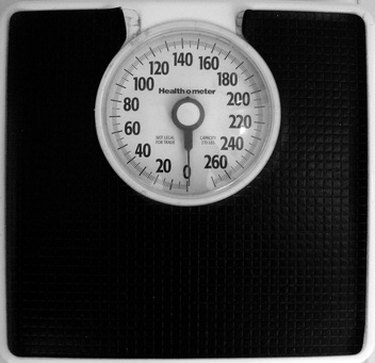 Digital Scale Vs. Analog: Which Should You Buy?